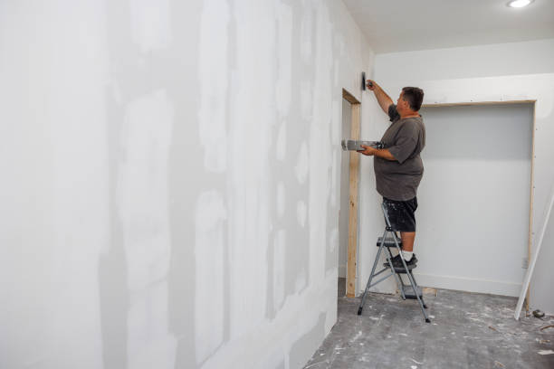 Best Mold Removal for HVAC Installations  in Huntsville, TX